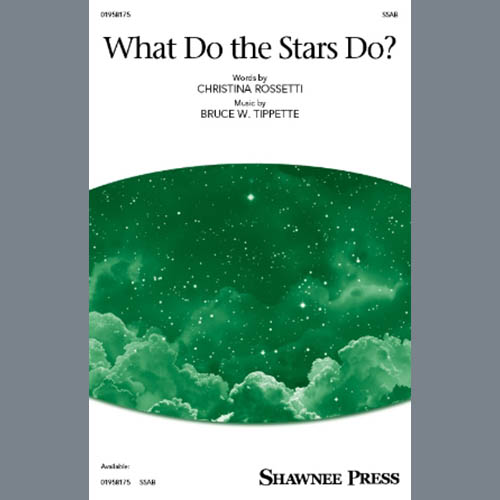 Produktbild zu: What Do The Stars Do?