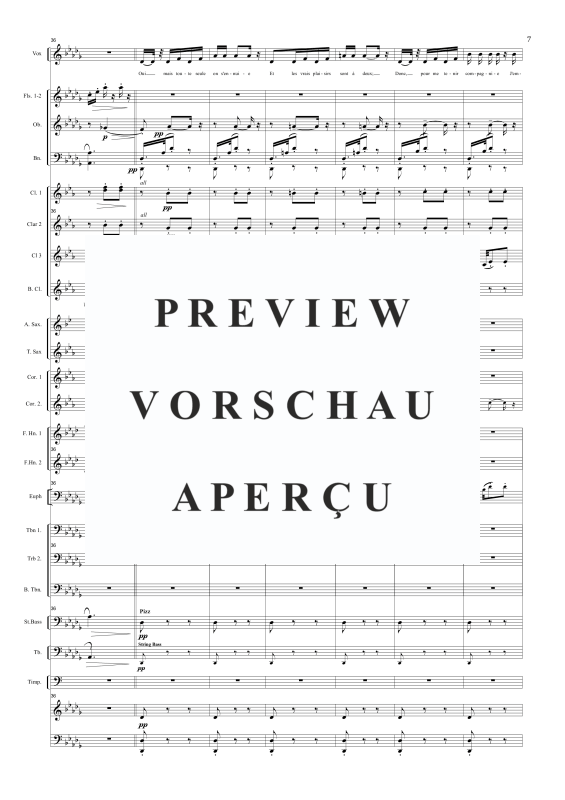 Produktgalerie: Seite 9 von 11 Pres des remparts de Seville (Seguidilla from Carmen), , Solo Gesang und Concert Band