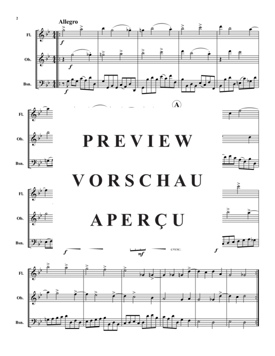 gallery: Concerto Grosso in G-Moll , , (Querflöte, Oboe, Fagott)