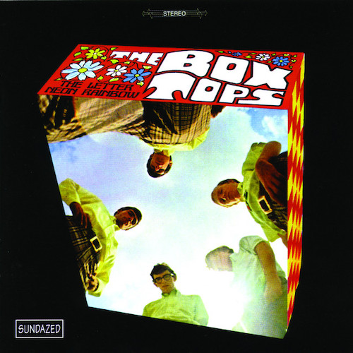 cover: The Letter, The Box Tops, Gesang, Gitarre, Klavier