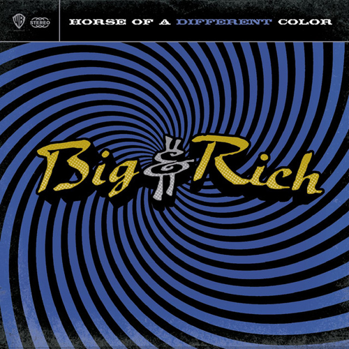 cover: Save A Horse (Ride A Cowboy), Big & Rich, Gitarre