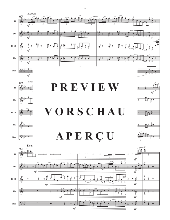Produktgalerie: Seite 7 von 21 Divertimento for Wind Quintet , , (Holzbläser Quintett)