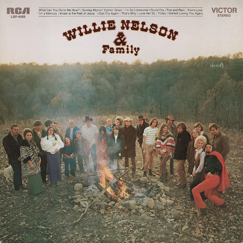 cover: I'm A Memory, Willie Nelson, Gitarre