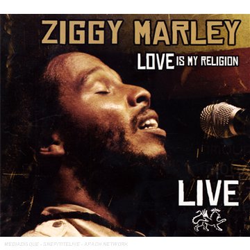 cover: Tumblin' Down, Ziggy Marley, Gesang, Gitarre, Klavier