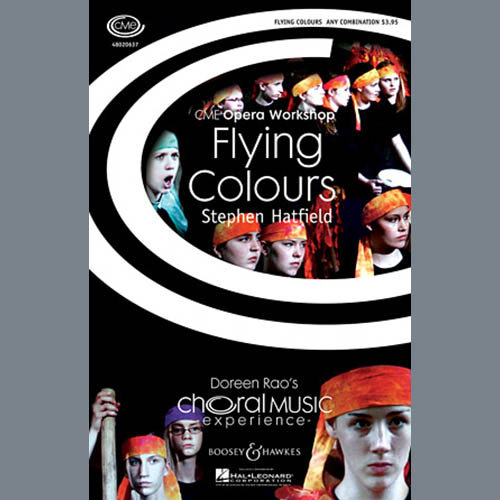 cover: Flying Colours, Stephen Hatfield