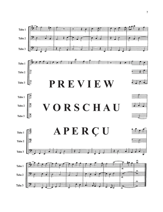 Produktgalerie: Seite 11 von 21 Fantasie a tre voci , , (fantasie for three instruments) Vol 2
