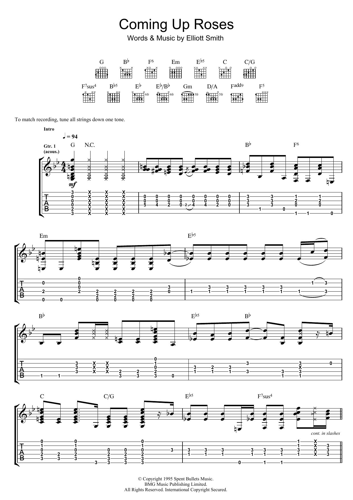 Produktgalerie: Seite 1 von 1 Coming Up Roses, Elliott Smith, Gitarre