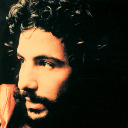 cover: Honey Man, Cat Stevens, Gitarre
