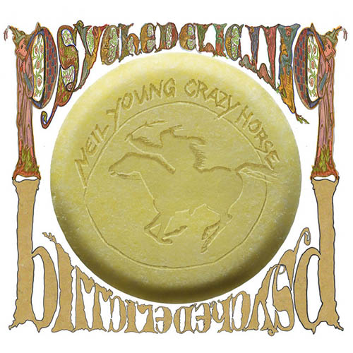 cover: Born In Ontario, Neil Young, Gesang, Gitarre, Klavier