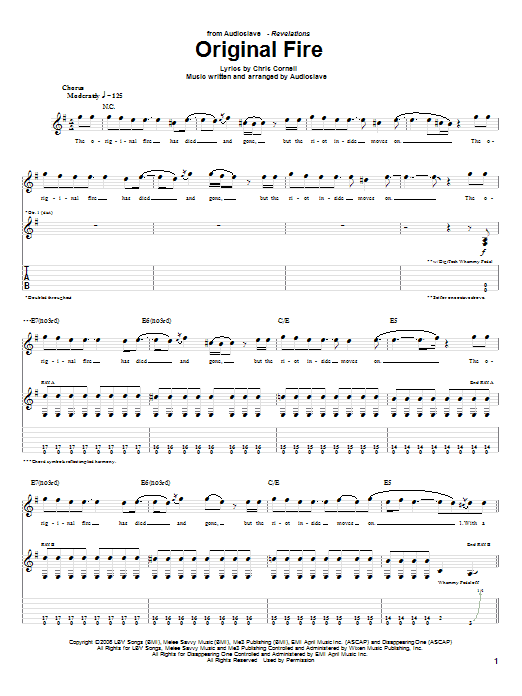 Produktgalerie: Seite 1 von 1 Original Fire, Audioslave, Gitarre