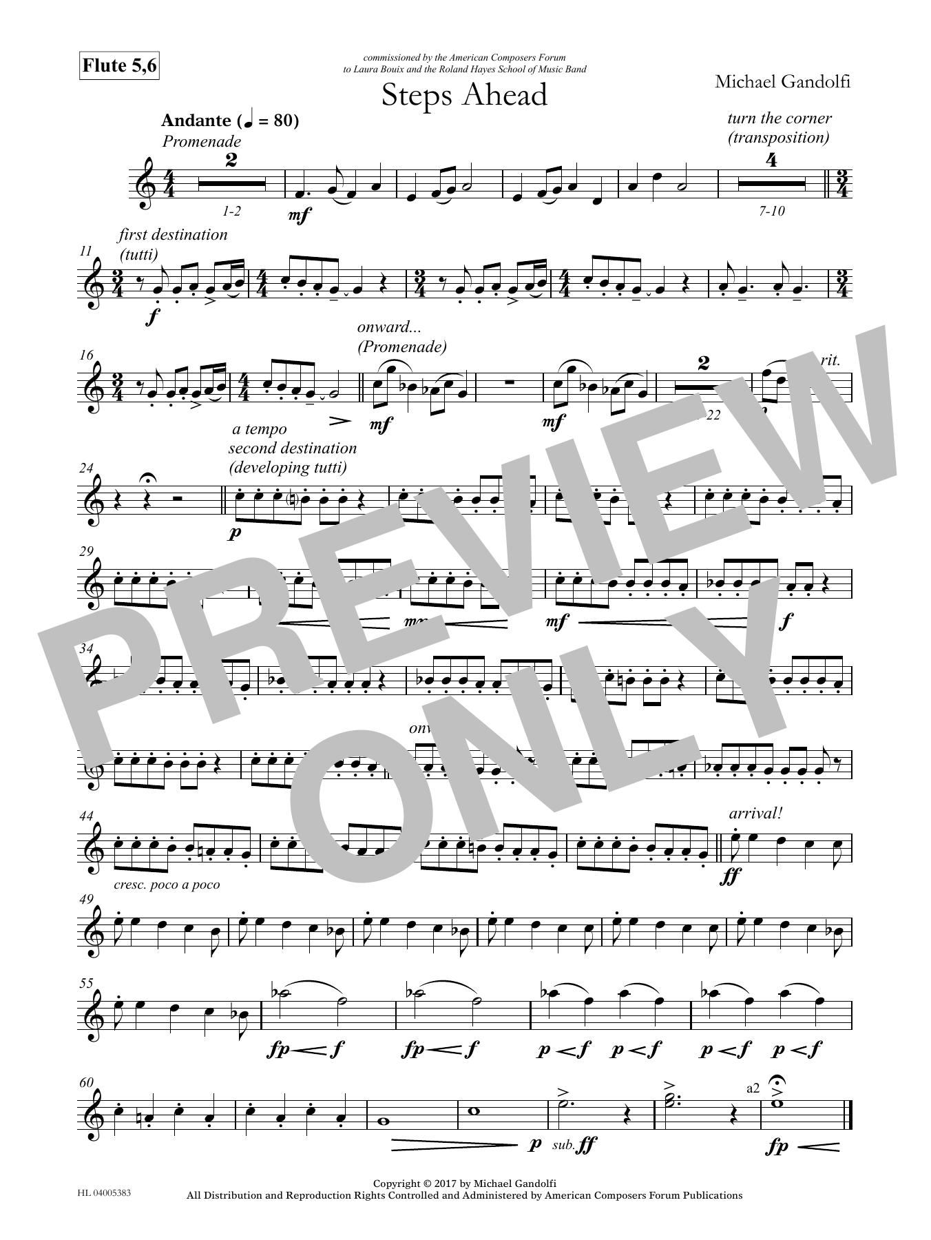 Product picture to: Steps Ahead - Flute 5 & 6