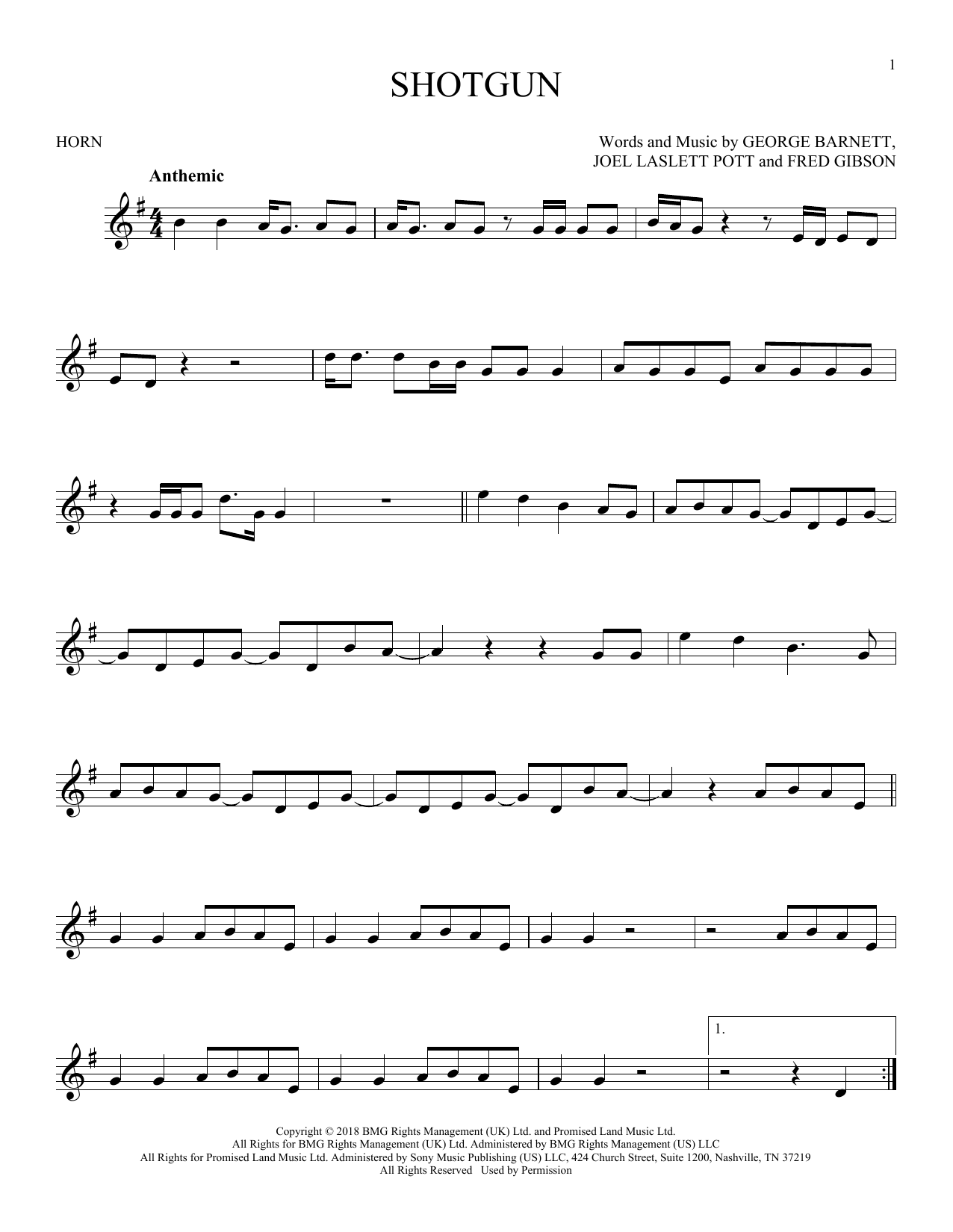 Produktgalerie: Seite 1 von 1 Shotgun, George Ezra, Horn