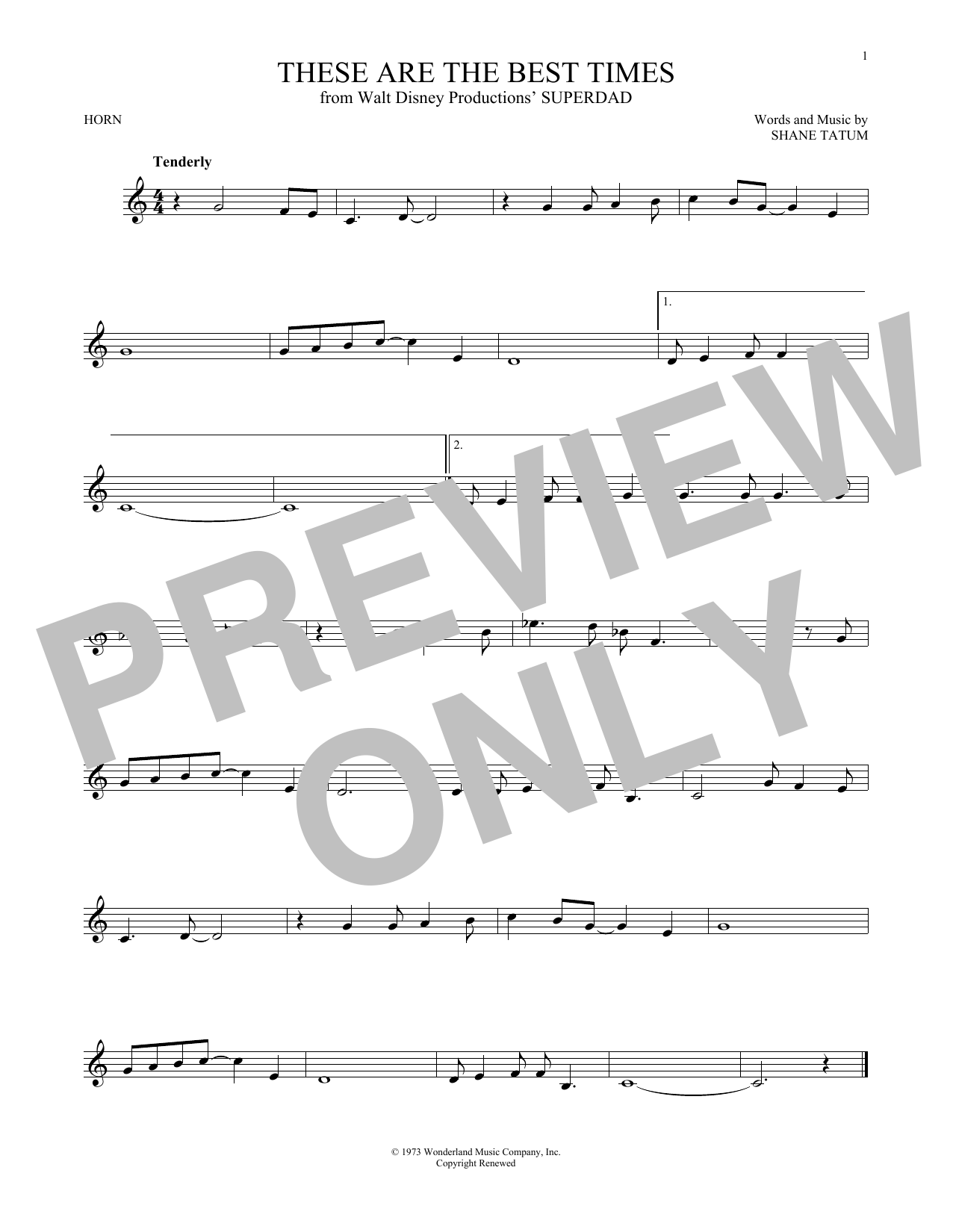 Produktgalerie: Seite 1 von 1 These Are The Best Times, Shane Tatum, Horn