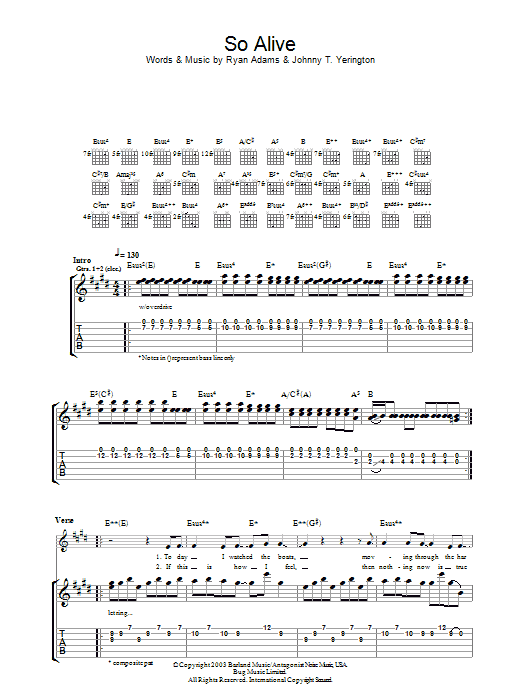Produktgalerie: Seite 1 von 1 So Alive, Ryan Adams, Gitarre