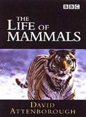 cover: The Life Of Mammals (Theme from the BBC TV Series), Dan Jones, Klavier