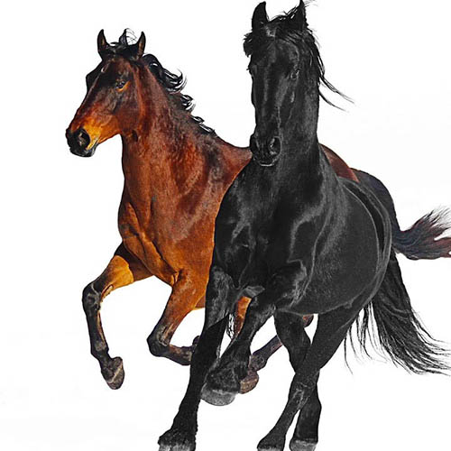 Product picture to: Old Town Road (Remix)