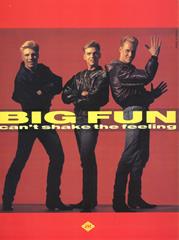 cover: Can't Shake The Feeling, Big Fun, Gesang, Gitarre, Klavier