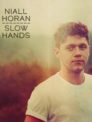 cover: Slow Hands, Niall Horan