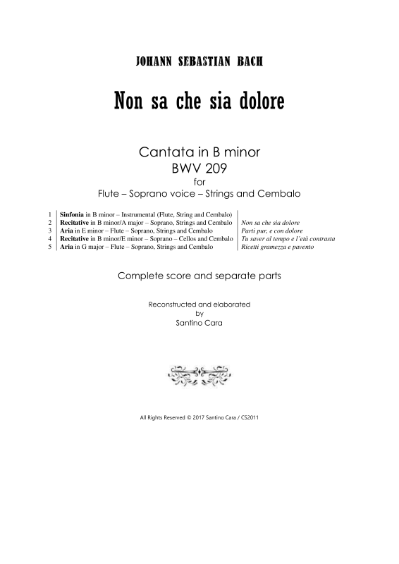 cover: Non sa che sia dolore - Cantata BWV 209, , Mixed Ensemble Soprano, Flute, Strings and Harpsichord Bc