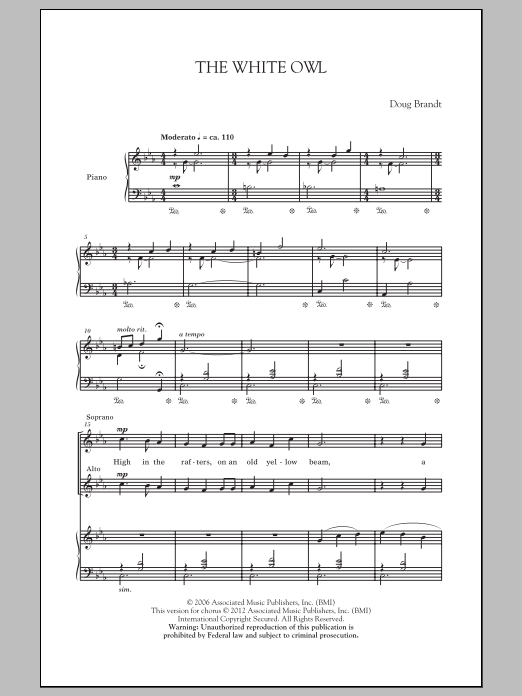 Product gallery: Page 1 of 1 The White Owl, Doug Brandt