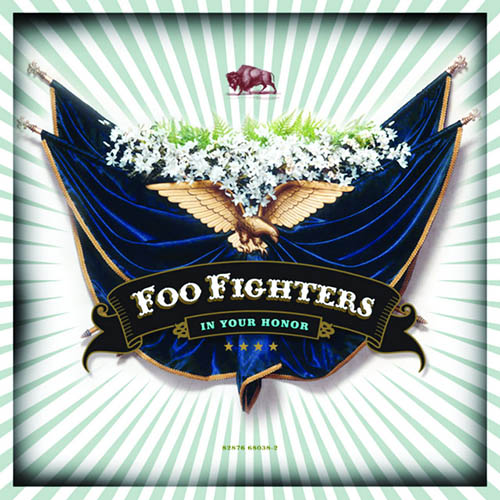 cover: The Deepest Blues Are Black, Foo Fighters