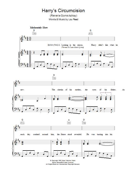 Produktgalerie: Seite 1 von 1 Harry's Circumcision, Lou Reed, Gesang, Gitarre, Klavier