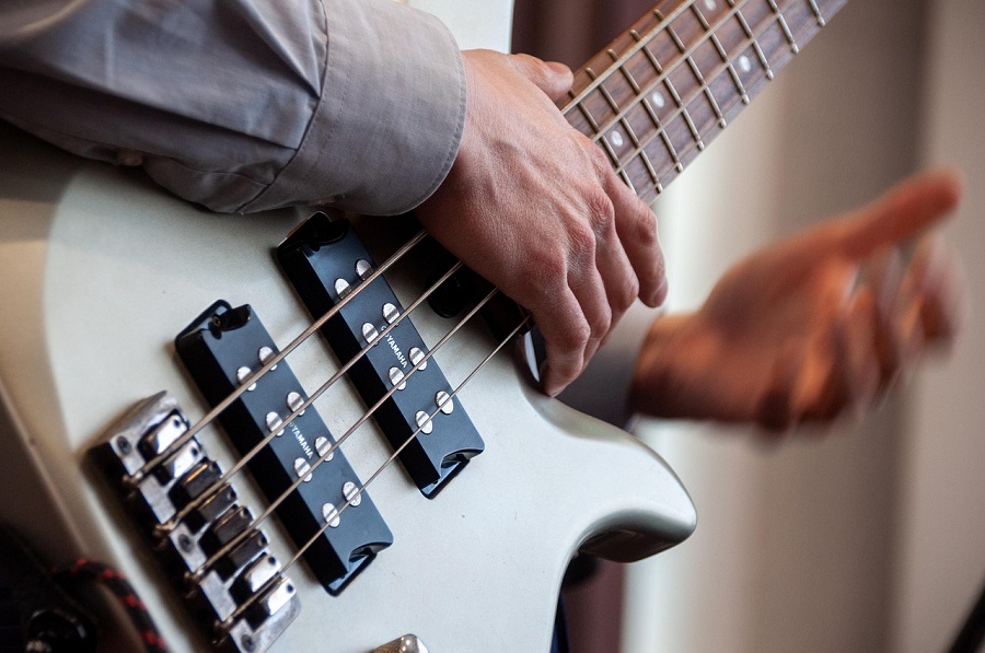 Bass guitar - discover the instrument