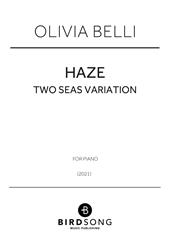 Produktbild zu: Haze - Two Seas Variation