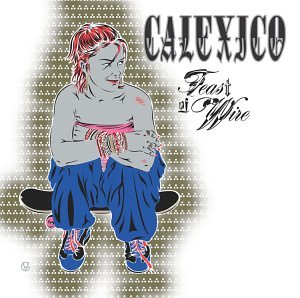 cover: Across The Wire, Calexico, Gitarre