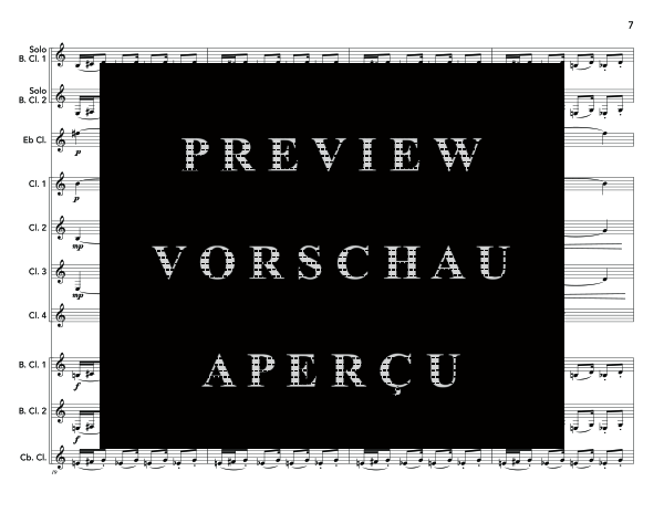 Produktgalerie: Seite 11 von 11 Bass Clarinet Double Concerto, , (Klarinetten Ensemble 2x Bass Klarinette und Klarinettenchor)