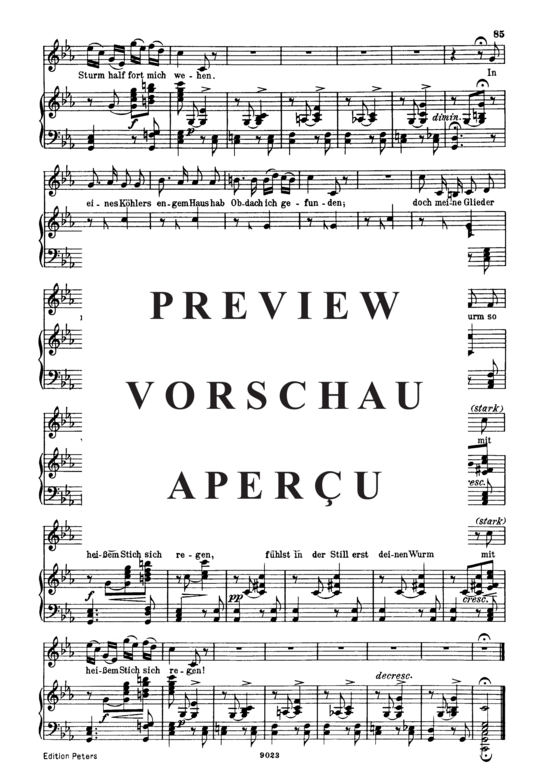 gallery: Rast D.911-10 (Winterreise) , ,  (Gesang hoch + Klavier)