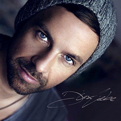 cover: Diese Liebe, Joel Brandenstein, Gesang, Gitarre, Klavier