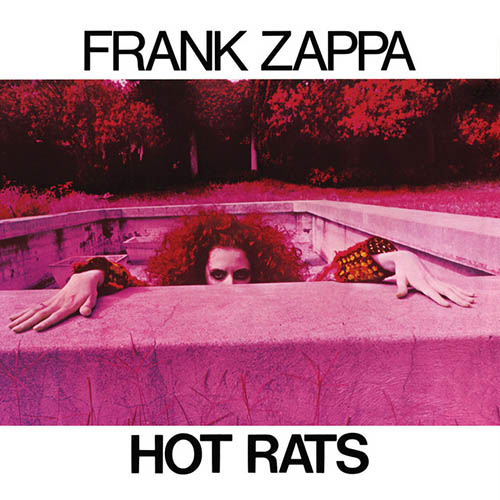 cover: The Gumbo Variations, Frank Zappa, Gitarre