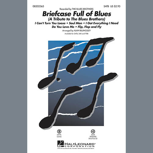 cover: Briefcase Full Of Blues (A Tribute to the Blues Brothers), Alan Billingsley