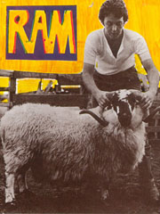 Produktbild zu: Dear Boy