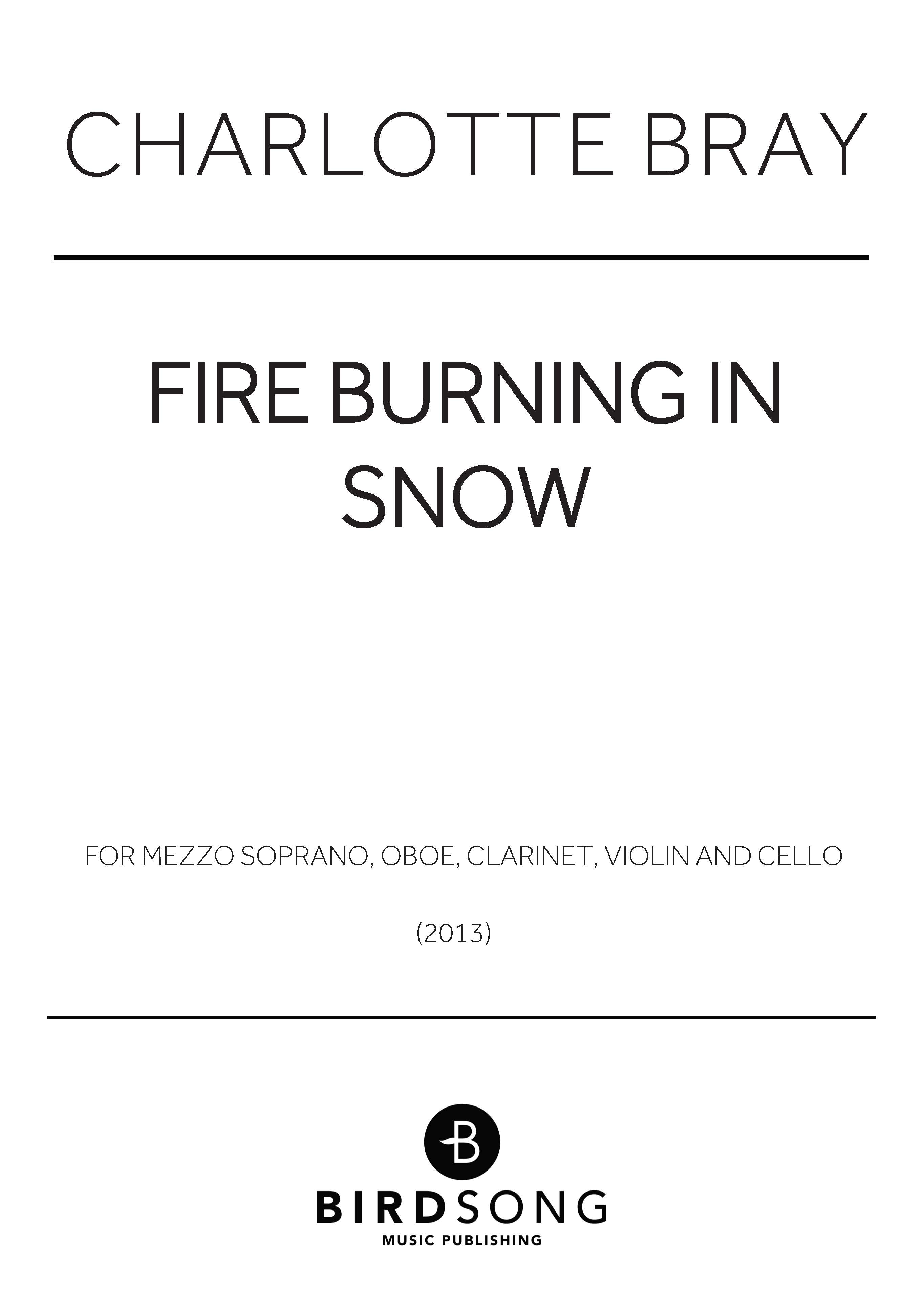 Produktbild zu: Fire Burning in Snow