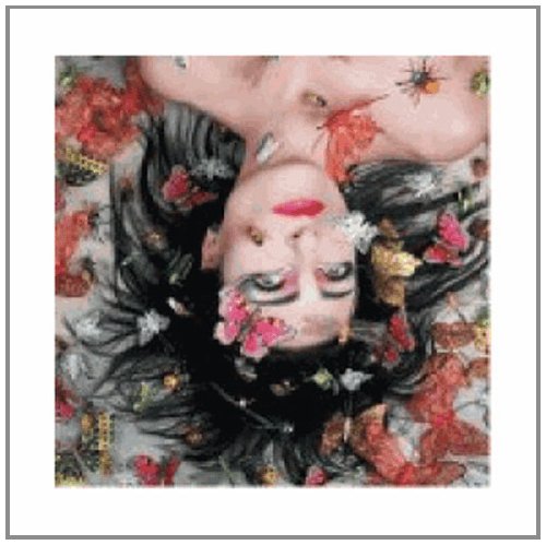 cover: Into A Swan, Siouxsie, Gesang, Gitarre, Klavier