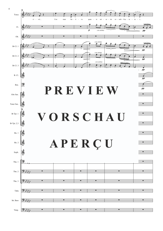 Produktgalerie: Seite 5 von 11 Vissi d'arte, , Sopran Solo und Concert Band