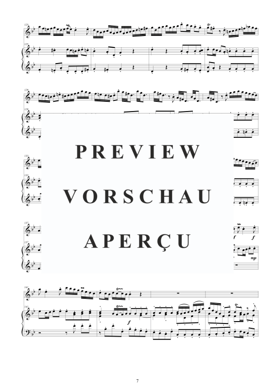 Produktgalerie: Seite 8 von 11 Flute Concerto in G minor, , Flöte und Cembalo