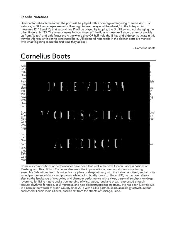 Product gallery: Page 5 of 11 Dream of Wheat, , (woodwind duet flute and clarinet/bass clarinet)