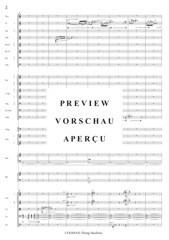 Product gallery: Page 7 of 21 Flying Machine , , (orchestra)