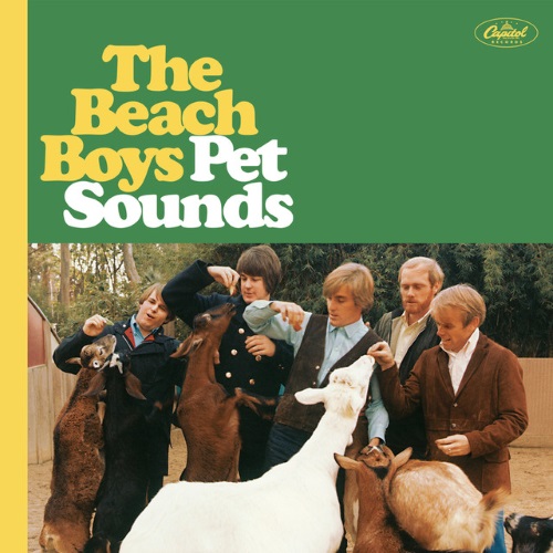 cover: Wouldn't It Be Nice, The Beach Boys, Gitarre