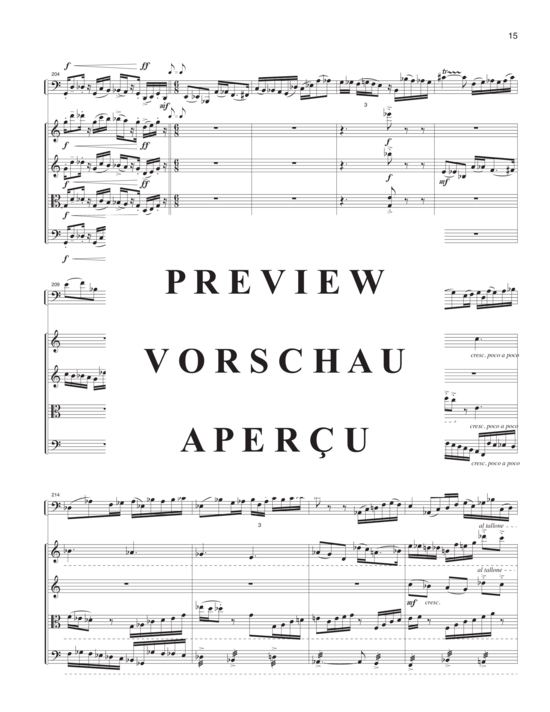 Produktgalerie: Seite 18 von 21 Heavens Awaken, The , , (Fagott Solo und Streichquartett)