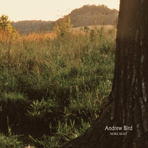 cover: Oh No, Andrew Bird, Gitarre