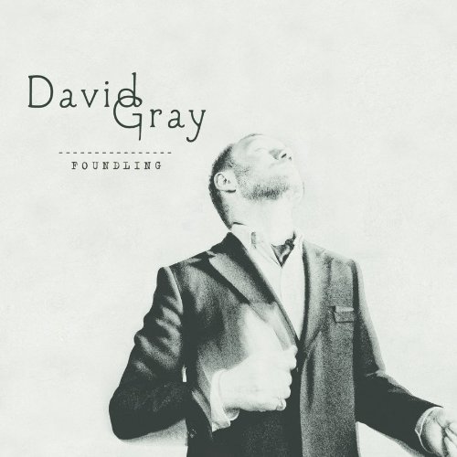 cover: Foundling, David Gray