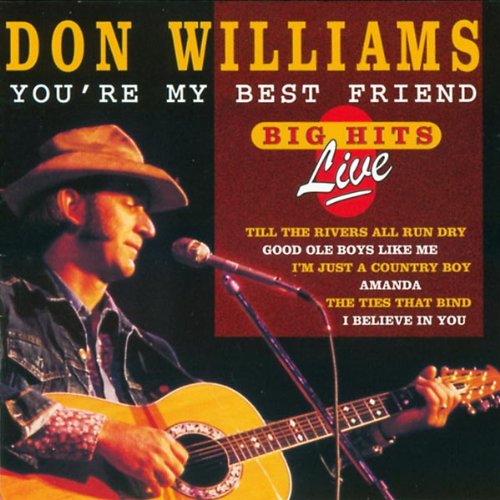 cover: I Believe In You, Don Williams, Melodieinstrument