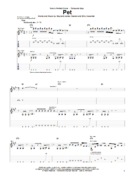 Produktgalerie: Seite 1 von 1 Pet, A Perfect Circle, Gitarre