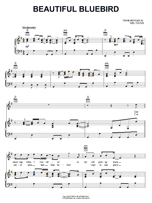 Produktbild zu: Beautiful Bluebird