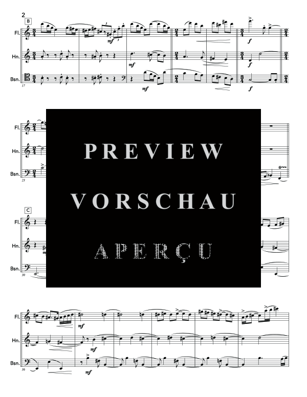 gallery: Trio, Op. 103, , (Holzbläser Trio Querflöte, Horn und Fagott)