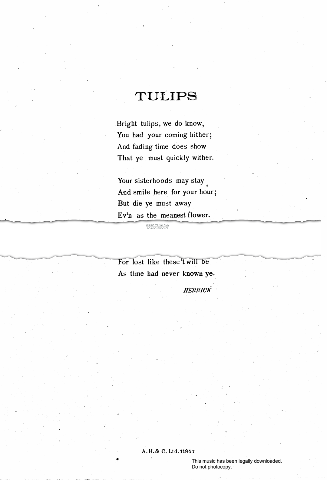 Produktbild zu: Tulips